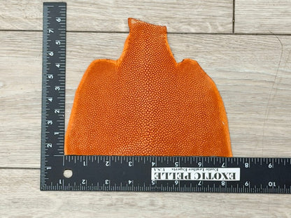 Orange Sanded Genuine Stingray Leather Piece Remnant 1048 product photo 2