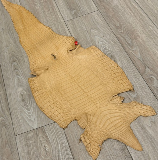 Tan Satin Genuine Caiman Crocodile Leather 684 product photo 1