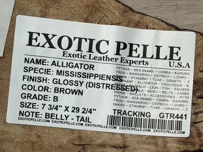 Genuine Alligator Leather - Brown Glossy Distressed Belly Cut WYSIWYG 441 product photo 4
