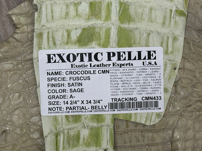 XL Sage Green Genuine Caiman Crocodile belly Hide Leather Skin real alligator 33