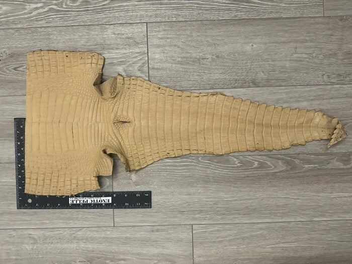Tan Genuine Crocodile Belly Tail Hide Leather Skin real alligator croc 400