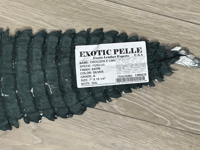Silver Satin Crocodile Belly Tail Hide Leather Skin real alligator grey Croc 620