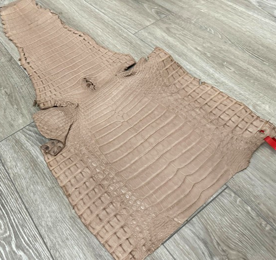 XL Tan Almond Genuine Crocodile Belly Tail Hide Leather Skin real alligator 405