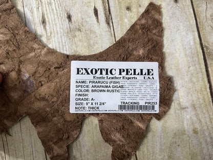 Brown Pirarucu Hide Genuine Skin Arapaimia Gigas Remnant Scrap Fish Leather 253