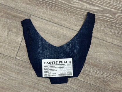 Blue Genuine Polished Sanded Stingray Hide Skin Sting Ray Leather Shagreen 1043