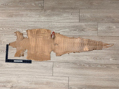 Champagne Metallic Genuine Caiman Crocodile Leather product photo 2