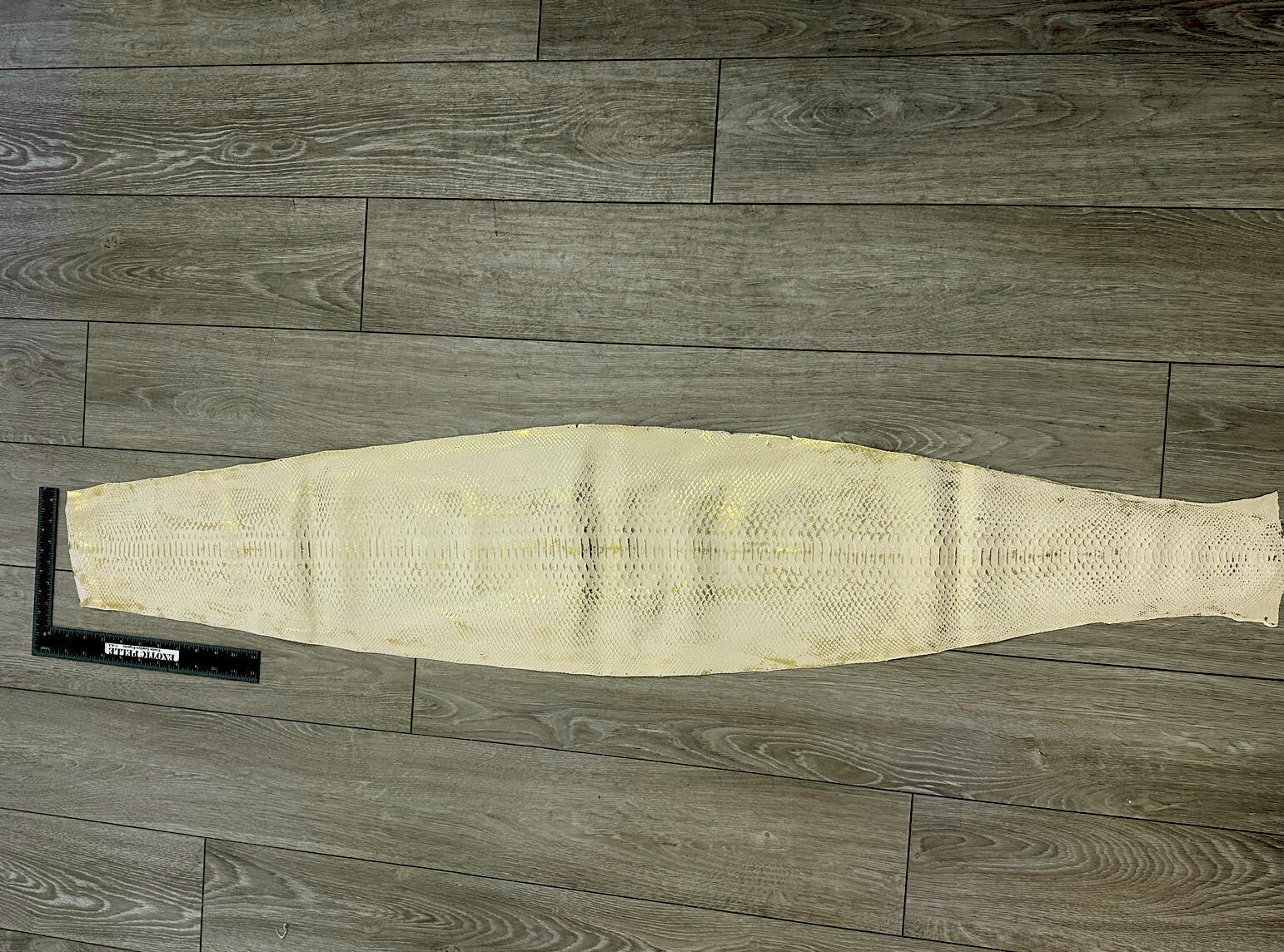 Gold Flake Genuine Python Jumbo Snakeskin Leather real hide snake skin Rattle 30