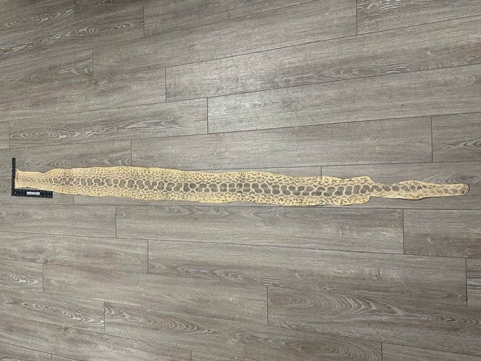 Sand Natural Genuine Anaconda Snake skin Leather hide python real boa rattle 381