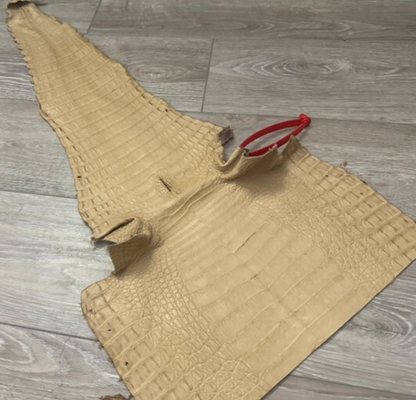 Tan Genuine Crocodile Belly Tail Hide Leather Skin real alligator croc 400