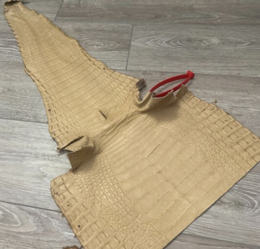 Tan Genuine Crocodile Belly Tail Hide Leather Skin real alligator croc 400