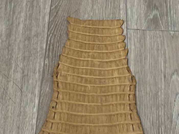 Tan Genuine Crocodile Belly Tail Hide Leather Skin real alligator Stained 412