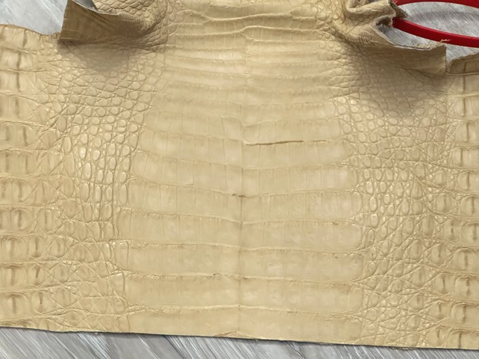 Tan Genuine Crocodile Belly Tail Hide Leather Skin real alligator croc 400