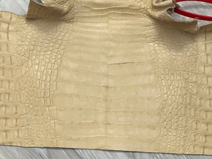 Tan Genuine Crocodile Belly Tail Hide Leather Skin real alligator croc 400