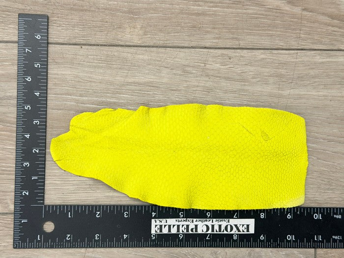 Yellow Genuine Beaver Tail Leather 191 product photo 2