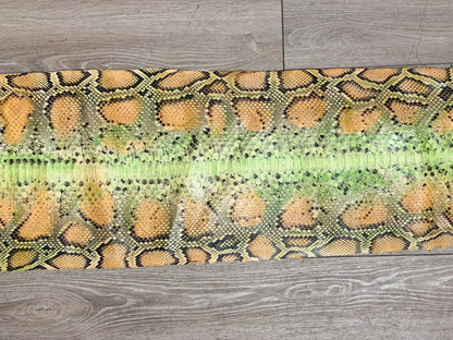 Honey Green Natural Pattern Glossy Genuine Burmese Python Snake Leather Belly 162 product photo 3