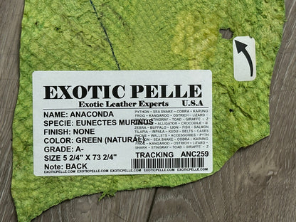 Green nat Genuine Anaconda Snakeskin Leather real hide snake skin python boa 259