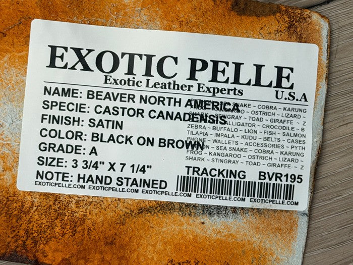 Genuine North American Beaver Tail Leather - Black On Brown WYSIWYG 195 product photo 3