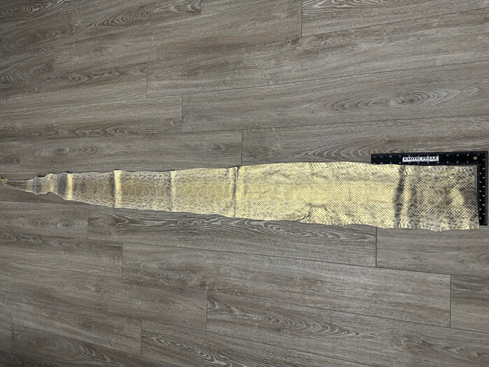 Gold on Natural Genuine Anaconda Leather hide snake skin python Boa rattle 285