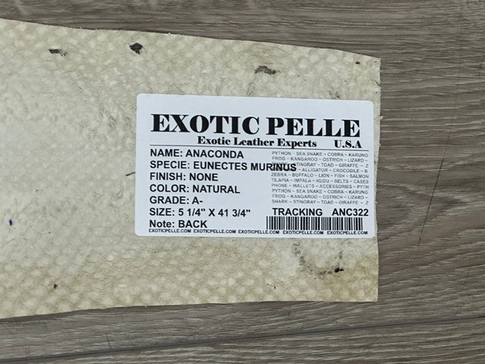 Natural Genuine Anaconda Snake skin Leather hide python real boa rattle 322