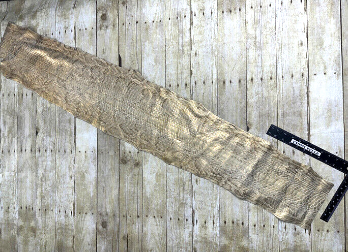 Burmese Python with Gold tint Genuine Snake Leather real hide snake skin boa 113