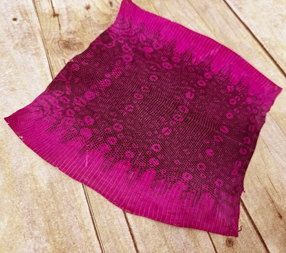 Pink Genuine Ring Lizard Leather Hide Exotic Skin Teju Tegu Iguana real 239