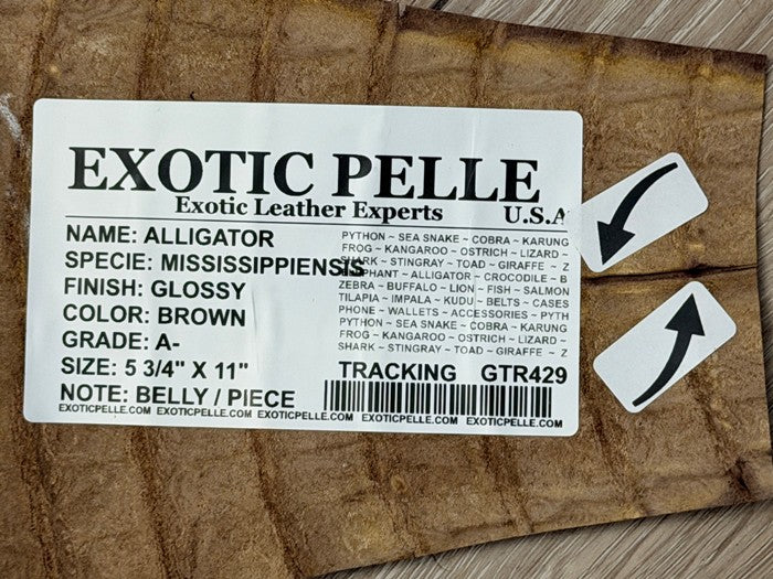 Genuine Alligator Leather - Brown Glossy Belly Cut Tail WYSIWYG 429 product photo 4