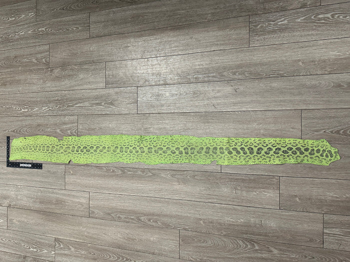 Green nat Genuine Anaconda Snakeskin Leather real hide snake skin python boa 259