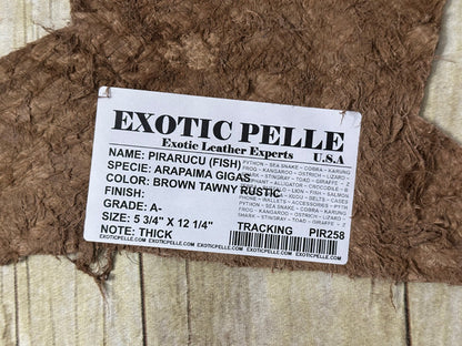 Brown Pirarucu Hide Genuine Skin Arapaimia Gigas Remnant Scrap Fish Leather 258