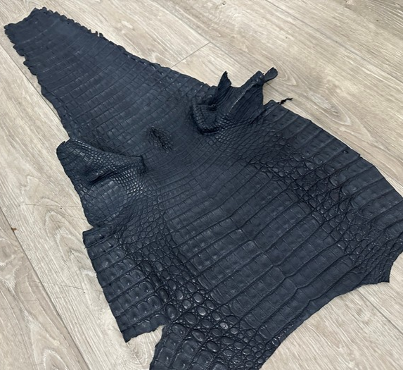 XXL Blue Navy Genuine Caiman Crocodile belly Hide Leather Skin Gator Croc 374
