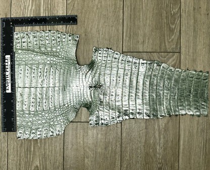Green Metallic Genuine Caiman Crocodile Belly Hide Leather Skin Alligator 512