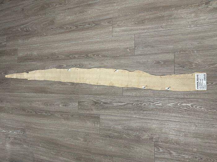 Silver on Natural Genuine Anaconda Leather hide snake skin python Boa rattle 295