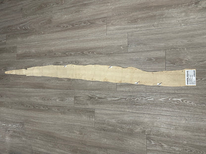 Silver on Natural Genuine Anaconda Leather hide snake skin python Boa rattle 295