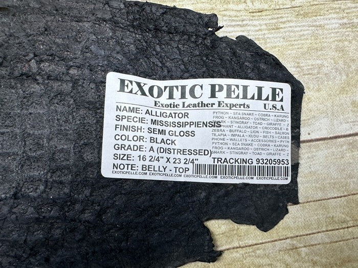 XXL Black Alligator Hide Distressed Leather Skin Piece Scrap Gator Croc Belly 53
