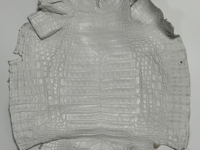 XL White Genuine Caiman Crocodile belly Hide Leather real alligator Croc 859