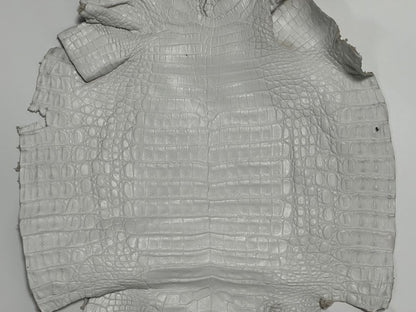 XL White Genuine Caiman Crocodile belly Hide Leather real alligator Croc 859