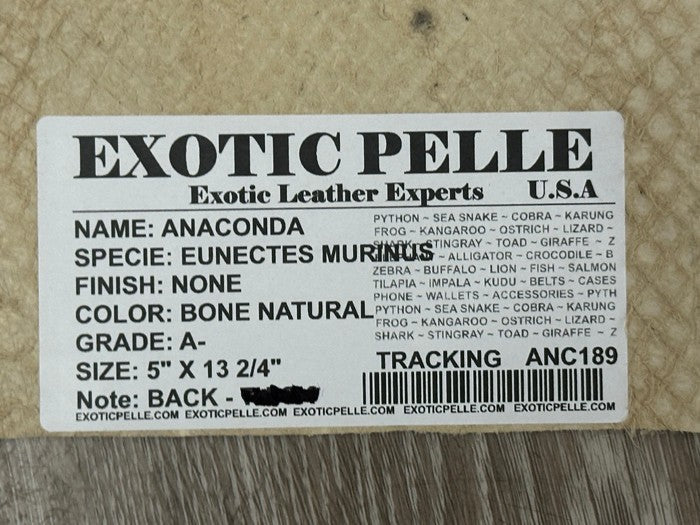 Bone Natural Genuine Anaconda Snake skin Leather hide python real boa rattle 189