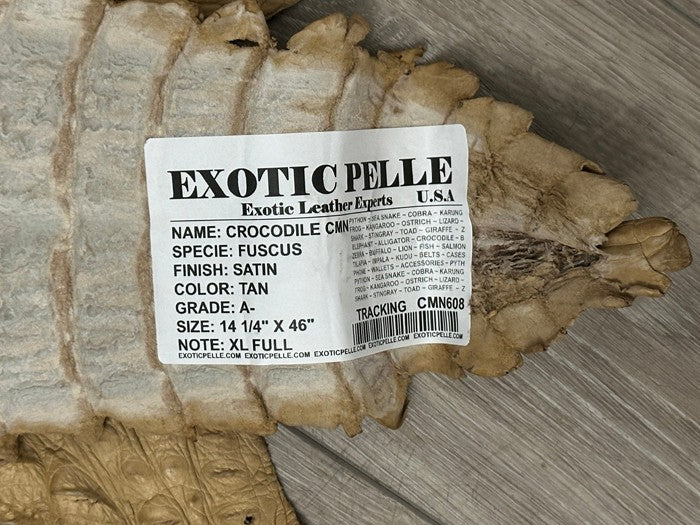 XL Tan Genuine Caiman Crocodile belly Hide Leather real alligator Croc 608