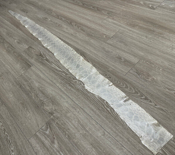 Silver on Natural Genuine Anaconda Leather hide snake skin python Boa rattle 295