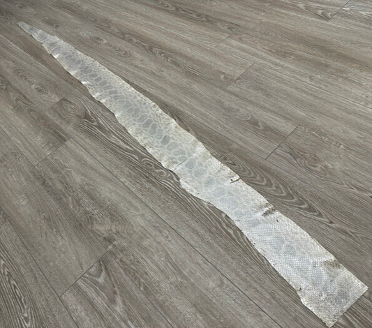 Silver on Natural Genuine Anaconda Leather hide snake skin python Boa rattle 295