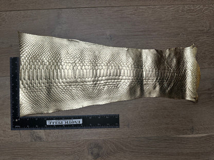 Gold Piece Genuine Python Snakeskin Leather real hide snake skin Rattle 369