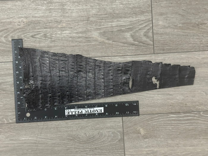 Black Glossy Genuine Caiman Crocodile Tail Leather C207757 product photo 2