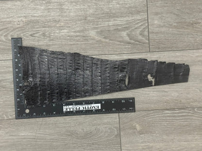 Black Glossy Genuine Caiman Crocodile Tail Leather C207757 product photo 2