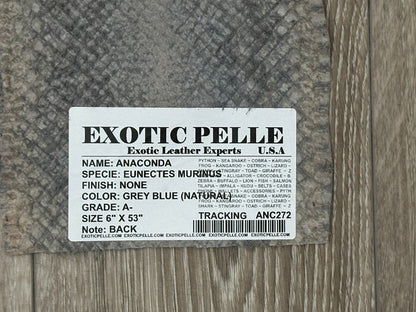Grey Blue Genuine Anaconda Leather real hide snake skin python boa Rattle 272