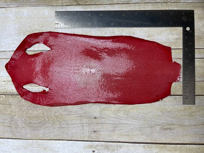 Red Genuine Polished Sanded Stingray Hide Skin Sting Ray Leather Shagreen 855