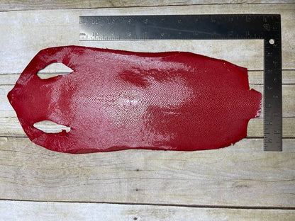 Red Genuine Polished Sanded Stingray Hide Skin Sting Ray Leather Shagreen 855