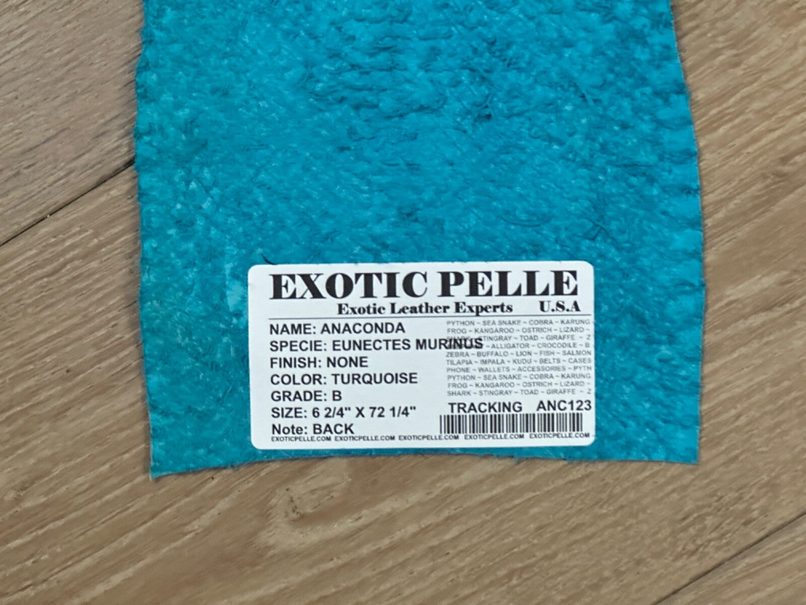 Turquoise Natural Genuine Anaconda Leather real hide snake skin python Boa 123