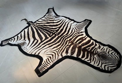 NEW JUMBO 10+ Foot Genuine African Burchells Zebra Rug Safari hair on Hide Skin