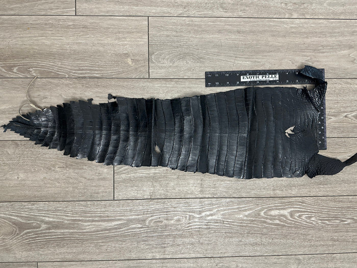 Black Genuine Alligator Tail Hide Leather Skin Piece Scrap Gator Croc Belly 975
