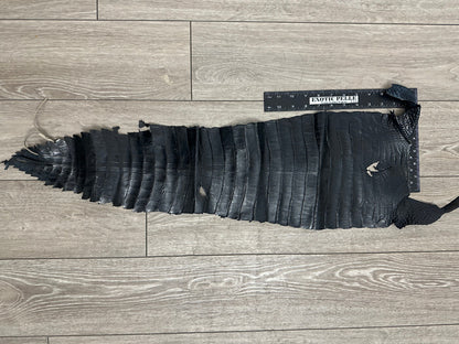Black Genuine Alligator Tail Hide Leather Skin Piece Scrap Gator Croc Belly 975