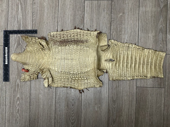 Gold Satin Genuine Caiman Crocodile Leather CMN495 product photo 2